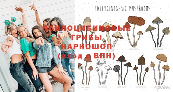 тгк Карпинск
