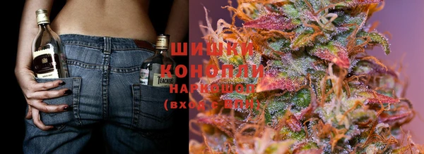 тгк Карпинск