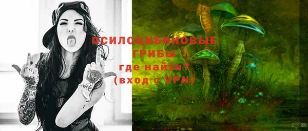 СК Касимов