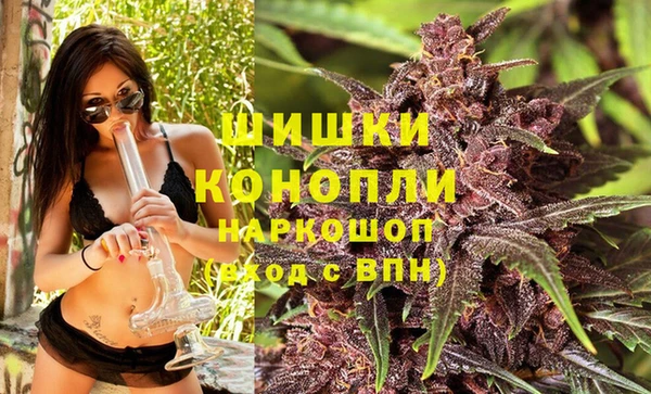 амф Козловка